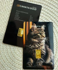 1G GOLDBAR 999.9 CGB CAT